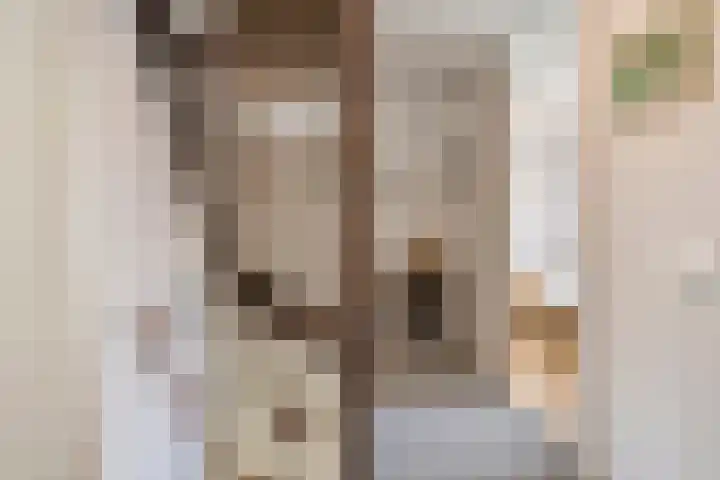 Pallick van Hoevellaan 10 Losser thumbnail 16