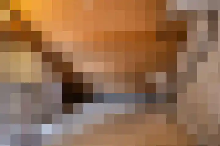 Pallick van Hoevellaan 10 Losser thumbnail 23
