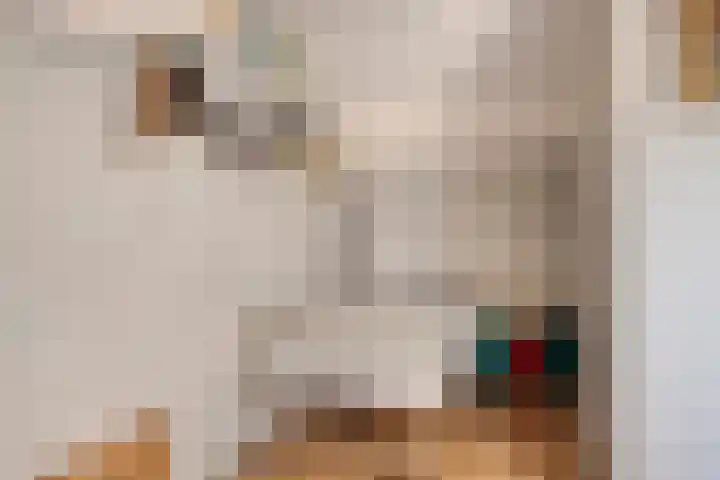Pallick van Hoevellaan 10 Losser thumbnail 24