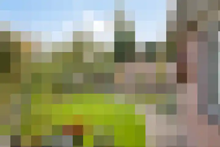 Pallick van Hoevellaan 10 Losser thumbnail 25