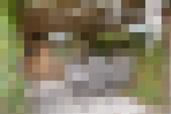 Pallick van Hoevellaan 10 Losser thumbnail 26
