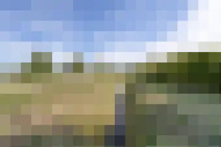 Pallick van Hoevellaan 10 Losser thumbnail 29