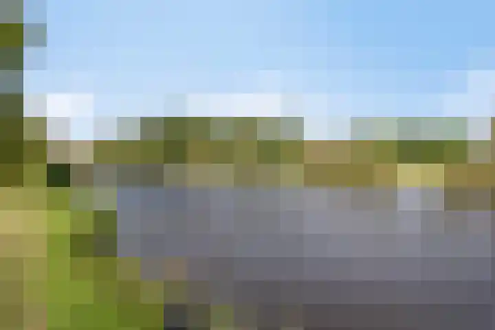 Pallick van Hoevellaan 10 Losser thumbnail 30