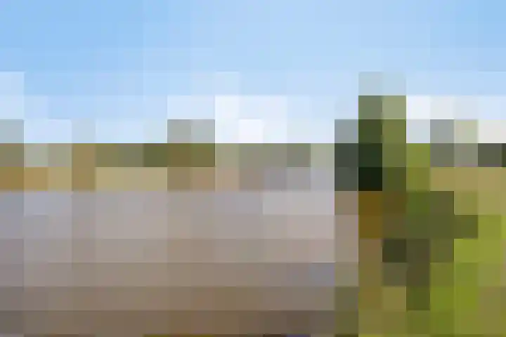 Pallick van Hoevellaan 10 Losser thumbnail 31