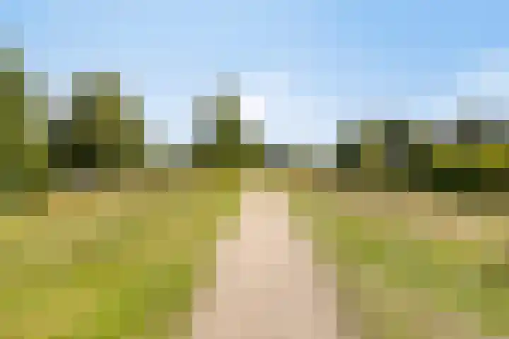 Pallick van Hoevellaan 10 Losser thumbnail 32