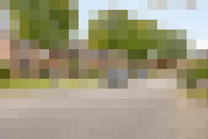 Pallick van Hoevellaan 10 Losser thumbnail 4