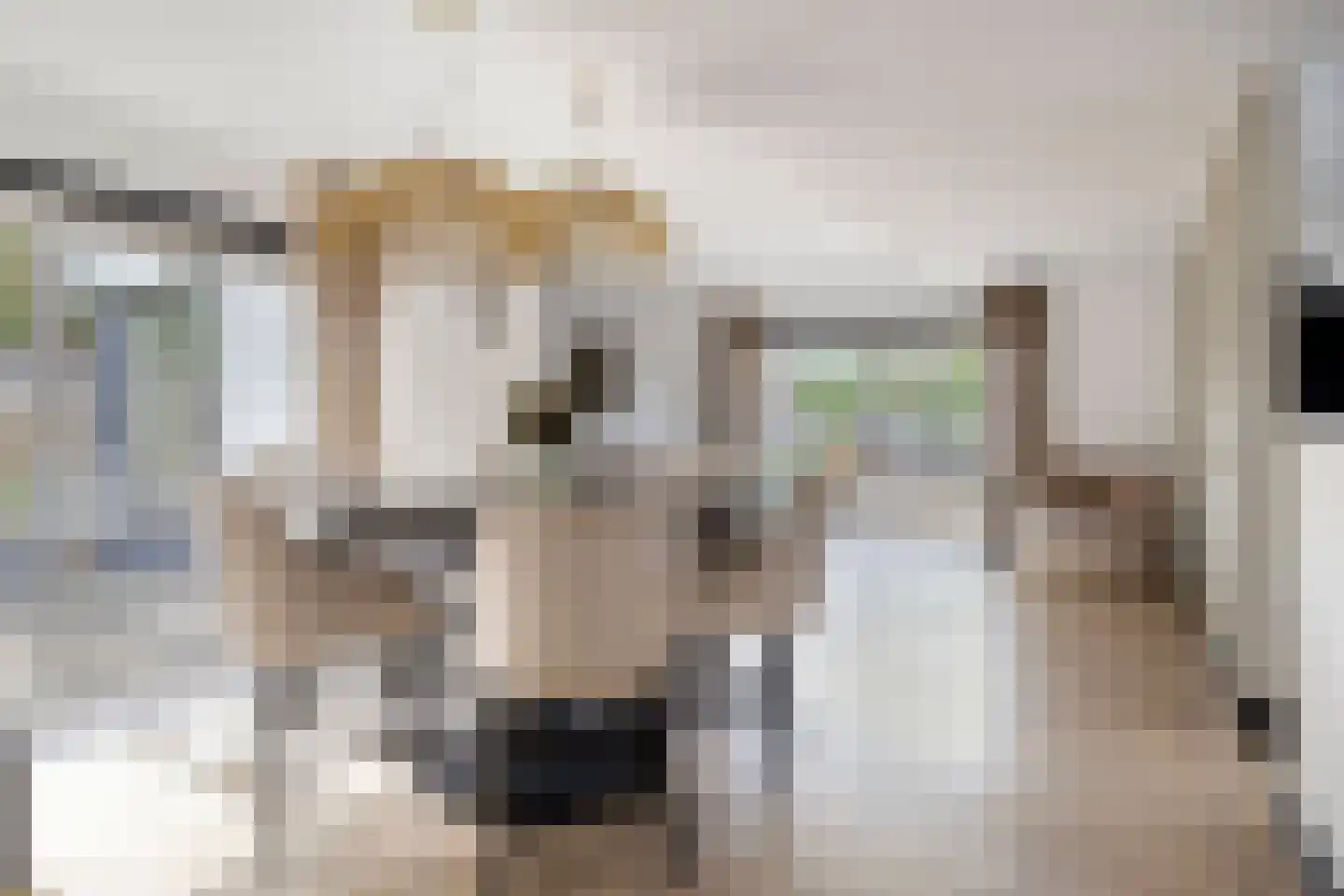 Pallick van Hoevellaan 19 Losser thumbnail 14