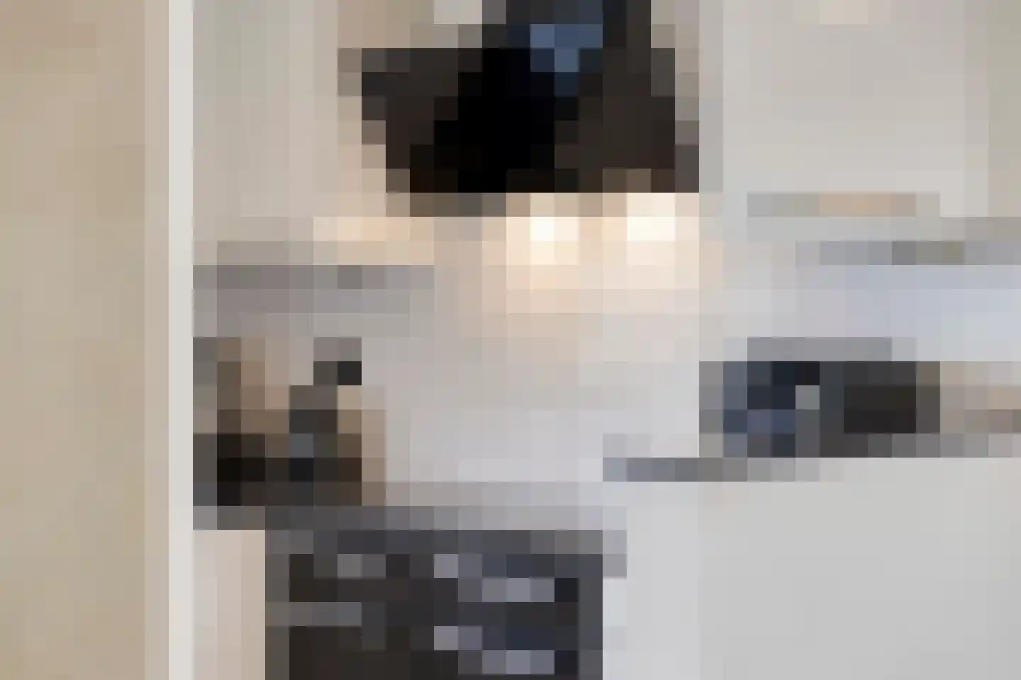 Pallick van Hoevellaan 19 Losser thumbnail 17