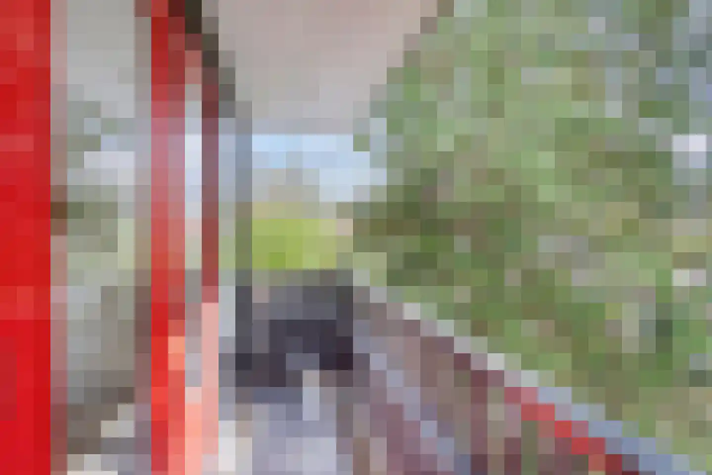 Pallick van Hoevellaan 19 Losser thumbnail 27