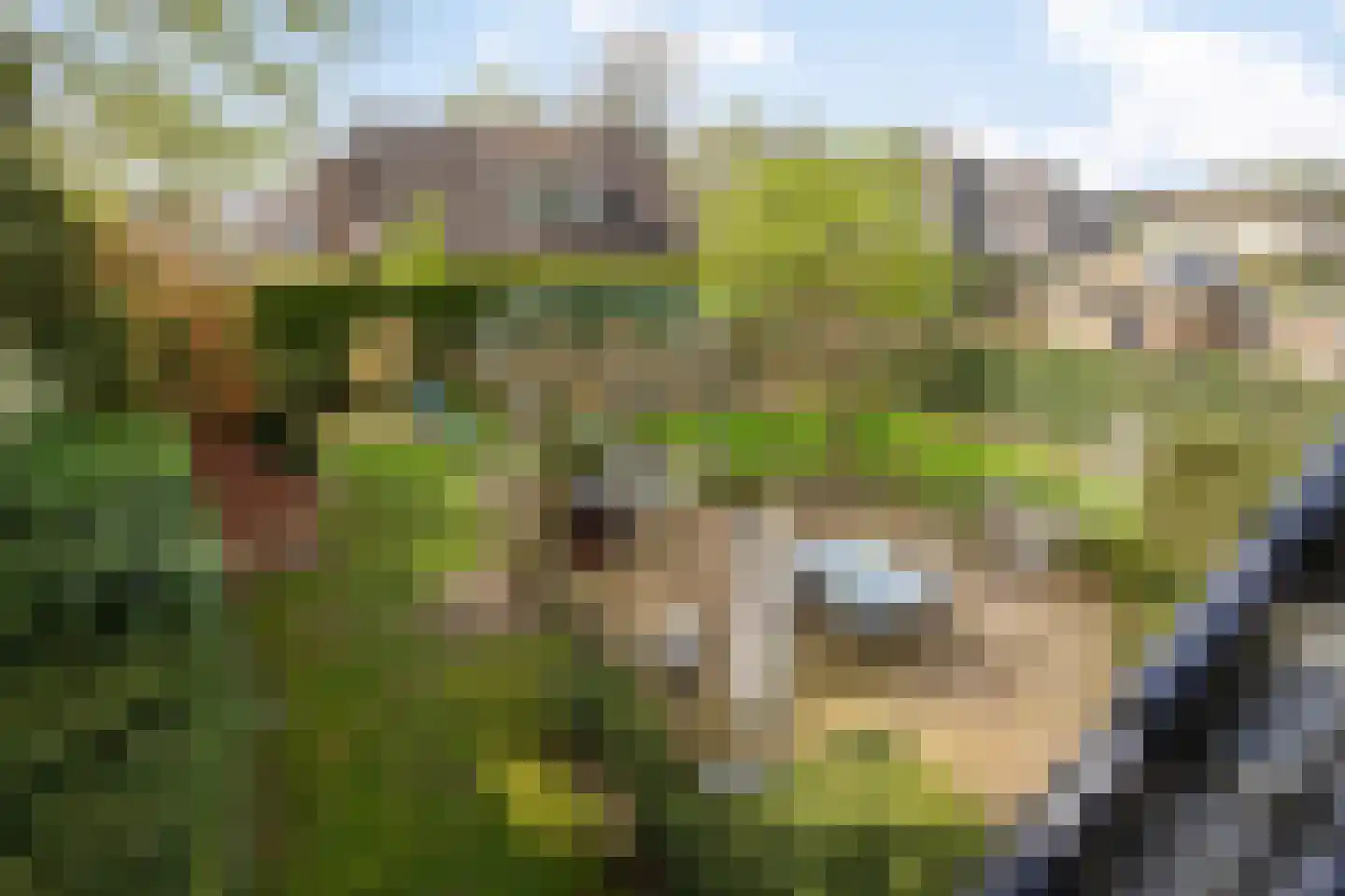 Pallick van Hoevellaan 19 Losser thumbnail 28