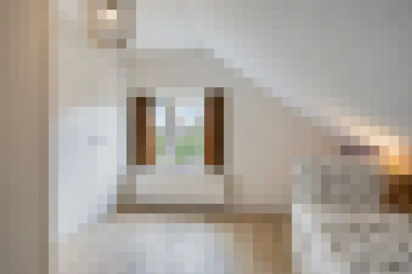 Pallick van Hoevellaan 19 Losser thumbnail 32