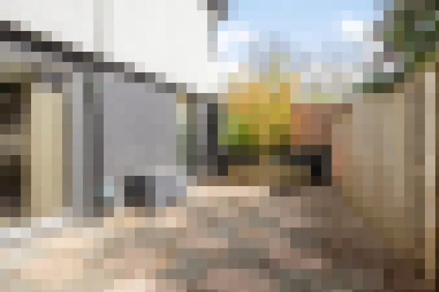 Pallick van Hoevellaan 19 Losser thumbnail 35