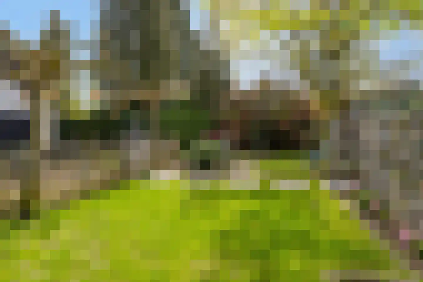 Pallick van Hoevellaan 19 Losser thumbnail 42