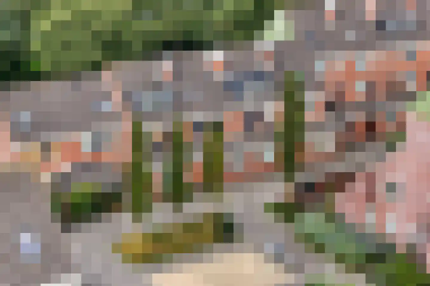 Pallieterburg 117 Capelle aan den IJssel thumbnail 47