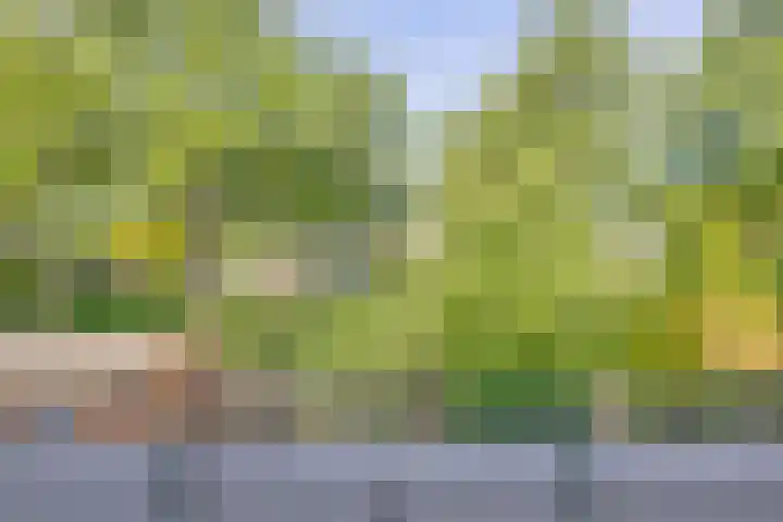 Pallieterburg 121 Capelle aan den IJssel thumbnail 24