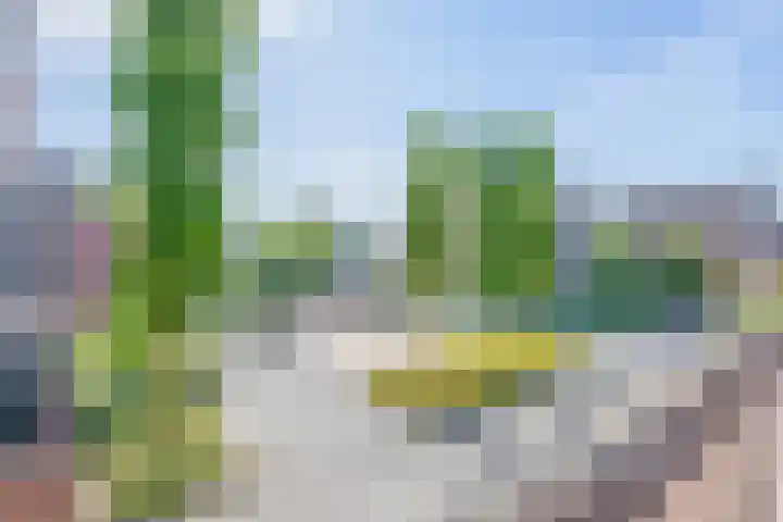 Pallieterburg 121 Capelle aan den IJssel thumbnail 29