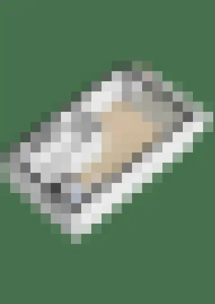 Pallieterburg 121 Capelle aan den IJssel thumbnail 31