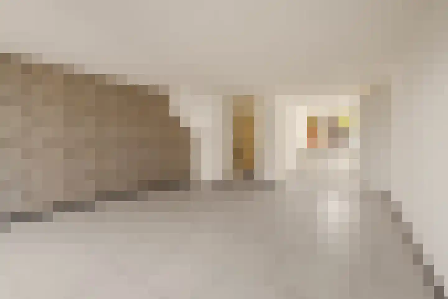 Pallieterburg 149 Capelle aan den IJssel thumbnail 6