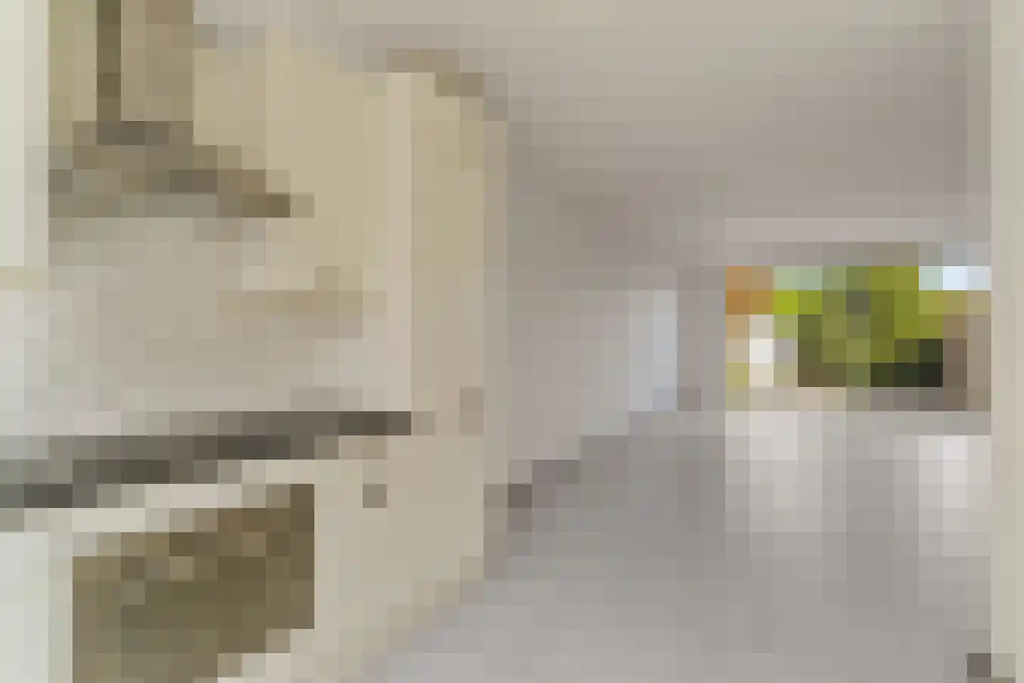 Pallieterburg 149 Capelle aan den IJssel thumbnail 9