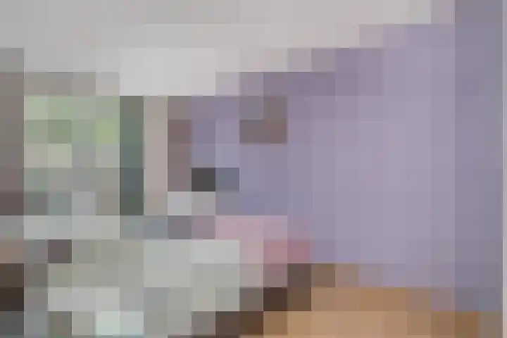 Pallieterburg 19 Capelle aan den IJssel thumbnail 17
