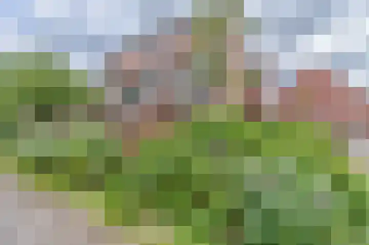 Pallieterburg 19 Capelle aan den IJssel thumbnail 4