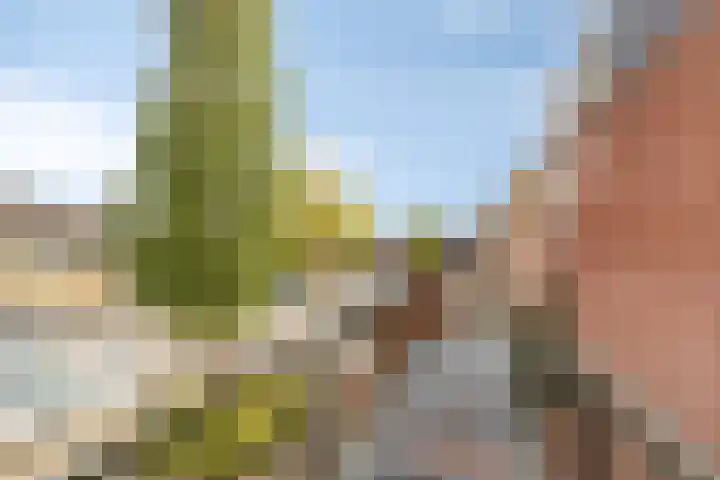 Pallieterburg 29 Capelle aan den IJssel thumbnail 18