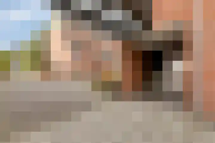 Pallieterburg 29 Capelle aan den IJssel thumbnail 19