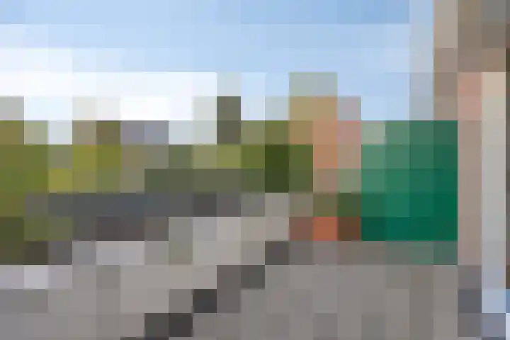 Pallieterburg 29 Capelle aan den IJssel thumbnail 9