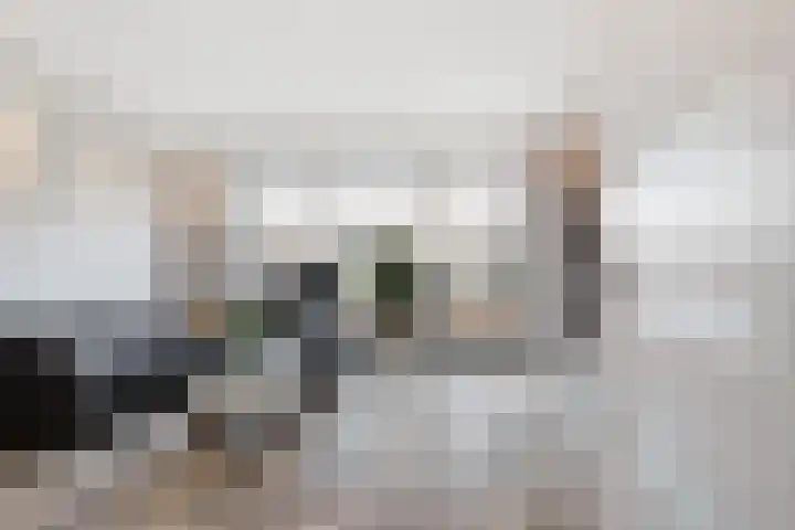 Pallieterburg 39 Capelle aan den IJssel thumbnail 10