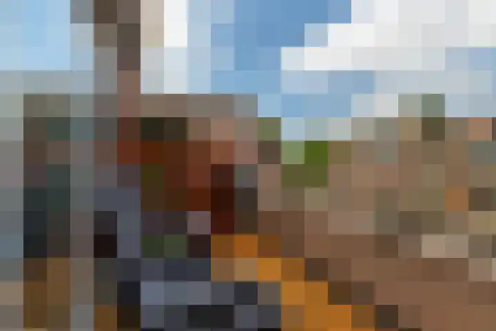 Pallieterburg 39 Capelle aan den IJssel thumbnail 11