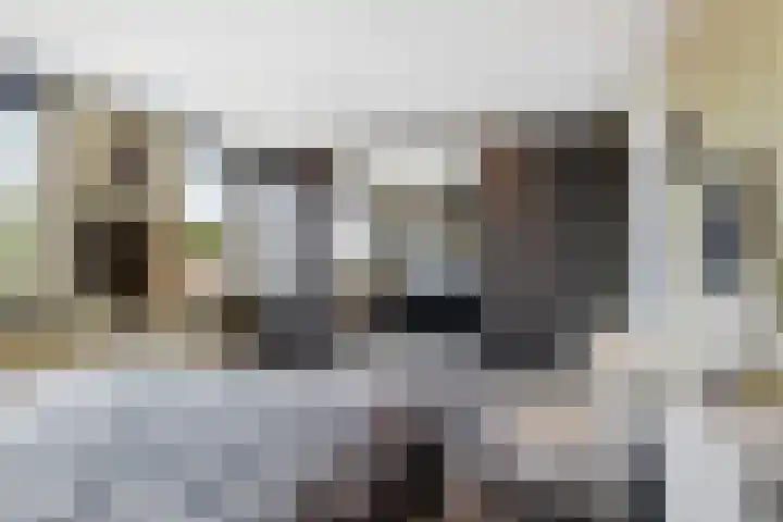 Pallieterburg 39 Capelle aan den IJssel thumbnail 20