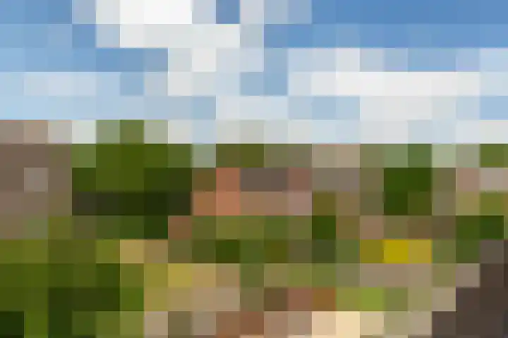Pallieterburg 39 Capelle aan den IJssel thumbnail 34