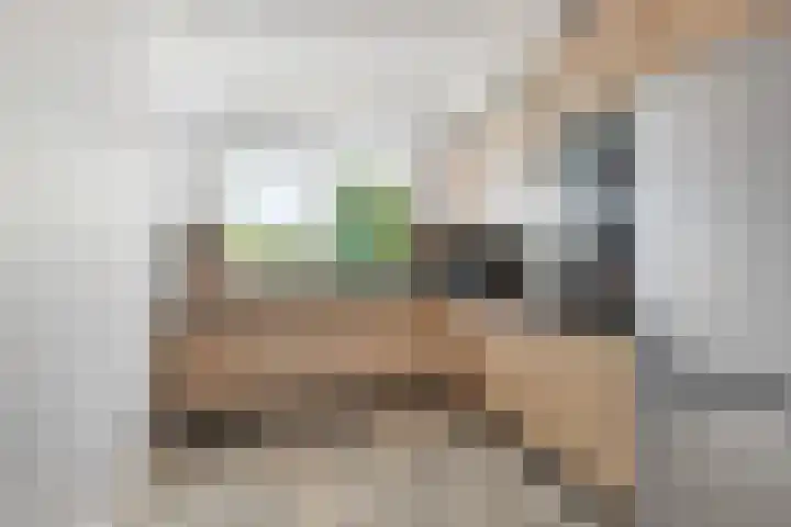 Pallieterburg 39 Capelle aan den IJssel thumbnail 7