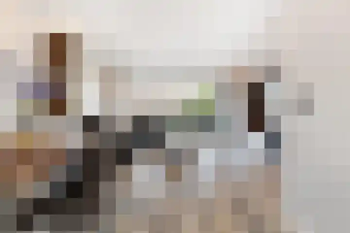 Pallieterburg 39 Capelle aan den IJssel thumbnail 8