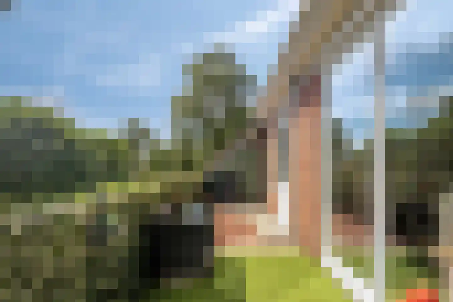 Pallieterburg 49 Capelle aan den IJssel thumbnail 17