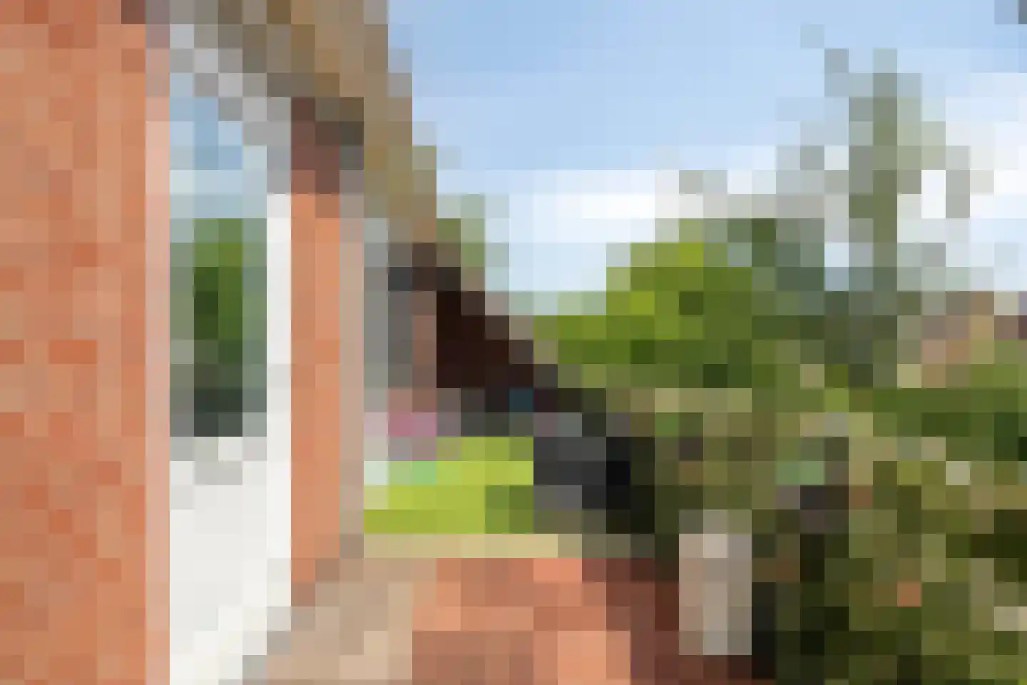 Pallieterburg 49 Capelle aan den IJssel thumbnail 18