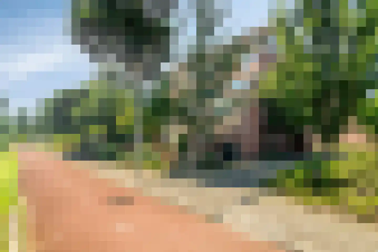 Pallieterburg 49 Capelle aan den IJssel thumbnail 33