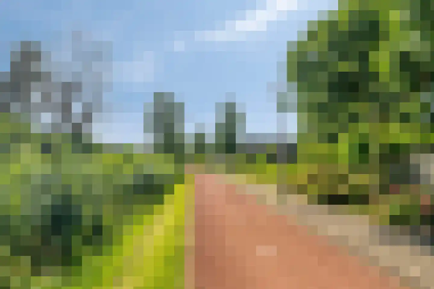 Pallieterburg 49 Capelle aan den IJssel thumbnail 37