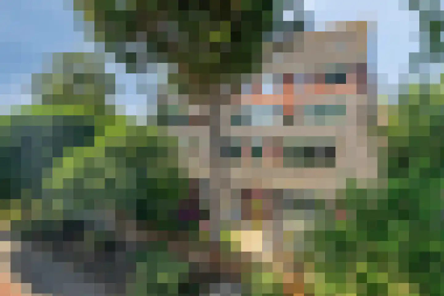 Pallieterburg 49 Capelle aan den IJssel thumbnail 4