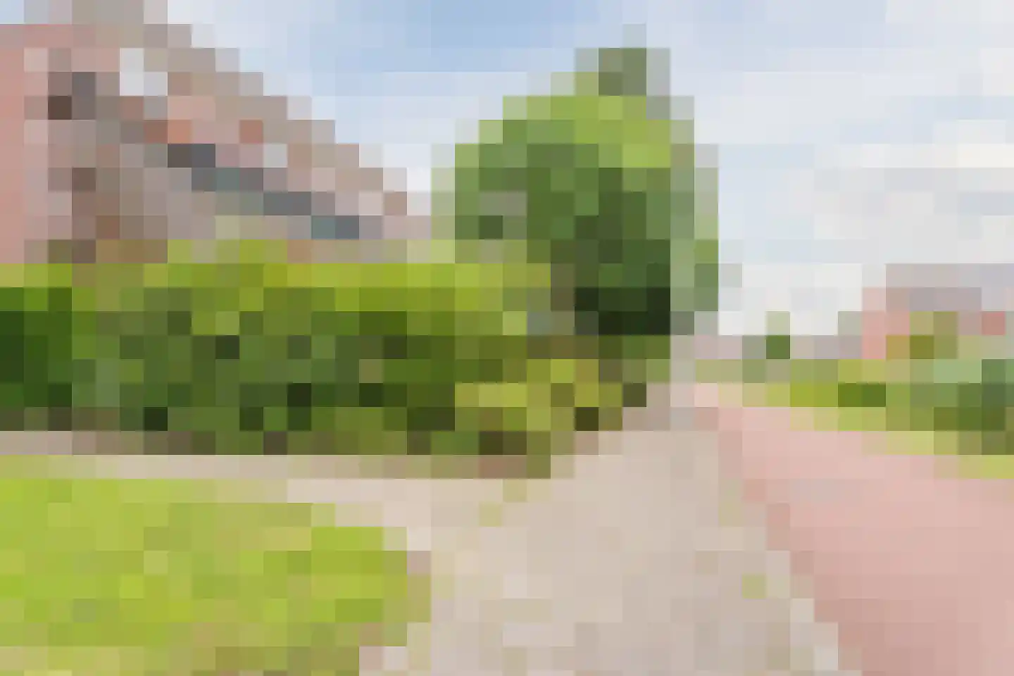 Pallieterburg 53 Capelle aan den IJssel thumbnail 41