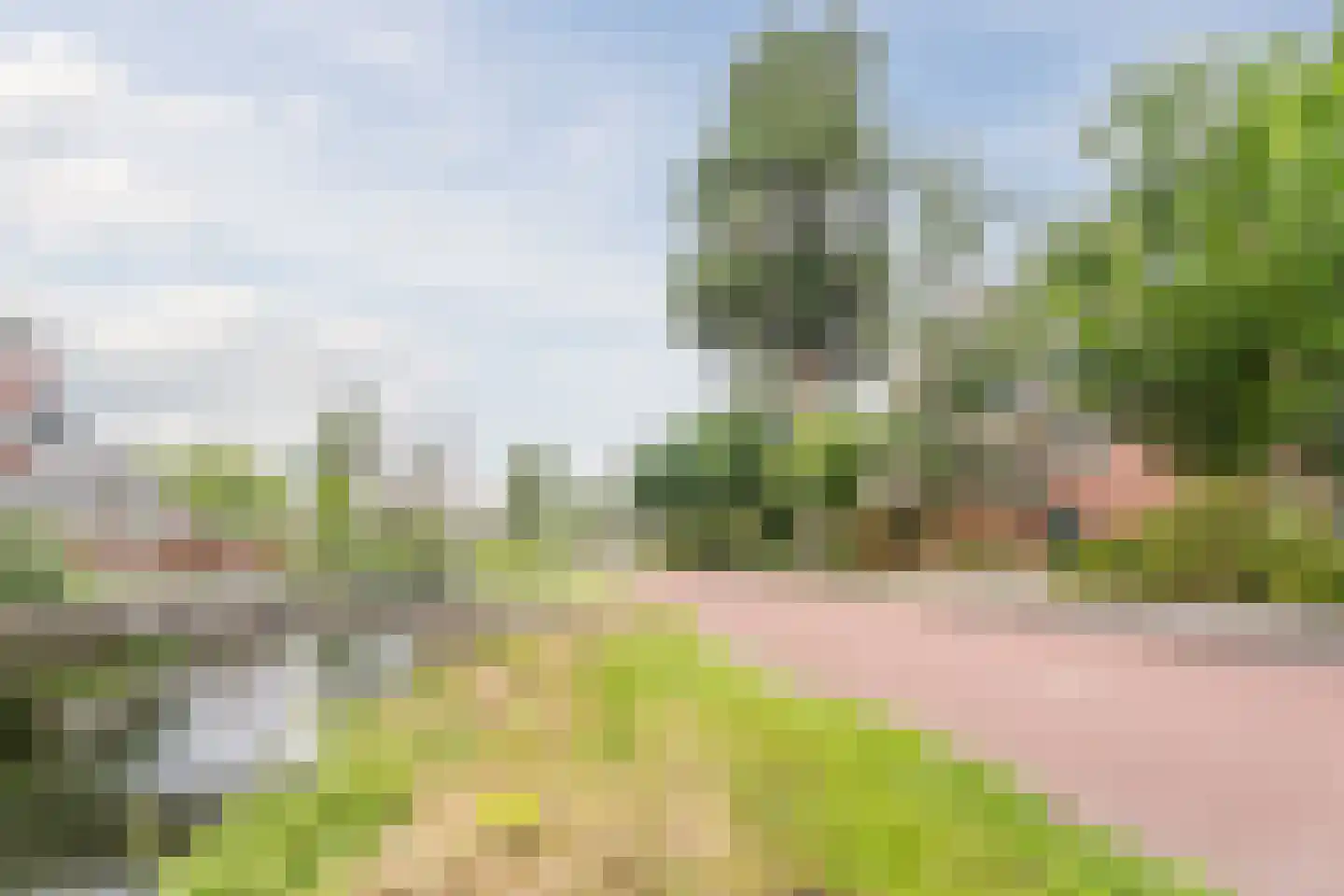 Pallieterburg 53 Capelle aan den IJssel thumbnail 44