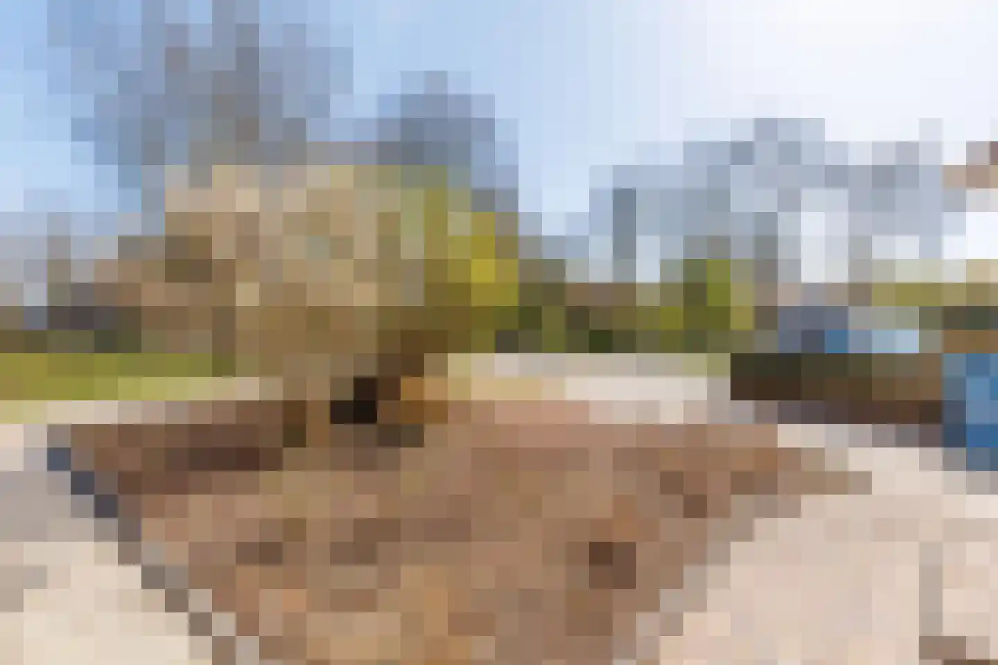 Pallietergaarde 101 Apeldoorn thumbnail 26