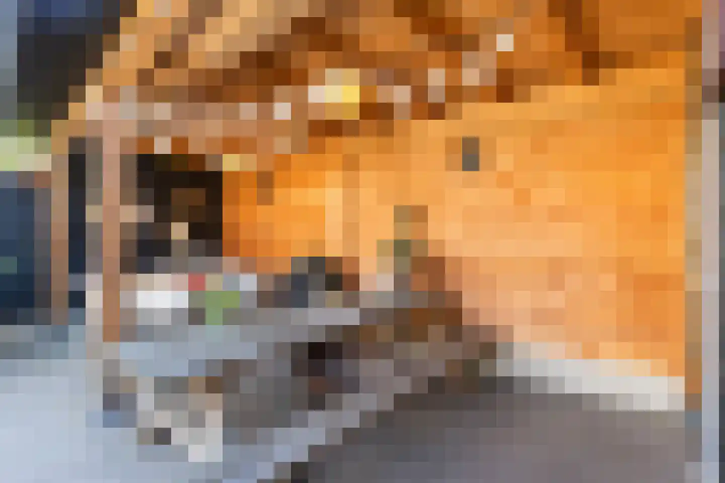 Pallietergaarde 112 Apeldoorn thumbnail 31
