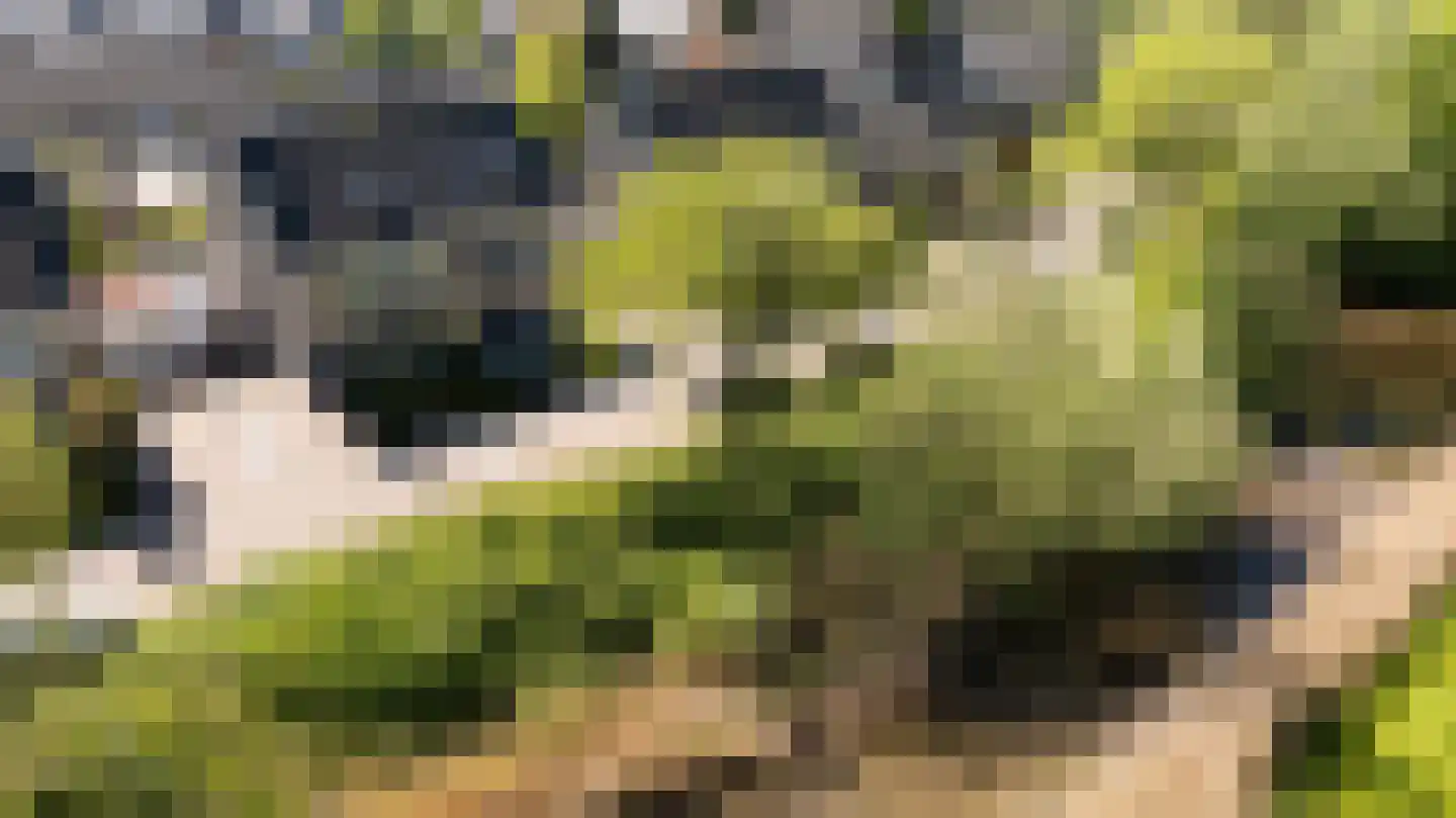 Pallietergaarde 112 Apeldoorn thumbnail 34