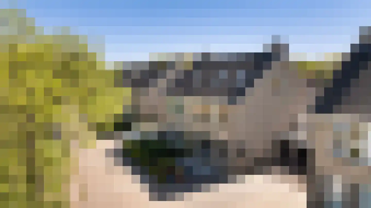 Pallietergaarde 112 Apeldoorn thumbnail 36