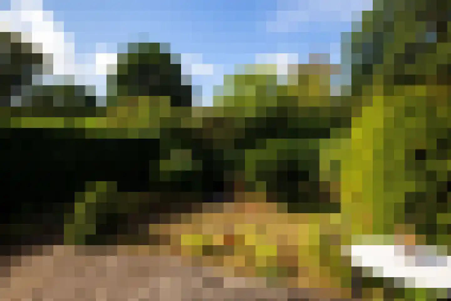 Pallietergaarde 327 Apeldoorn thumbnail 18