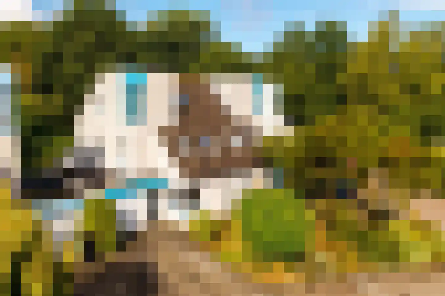 Pallietergaarde 327 Apeldoorn thumbnail 6