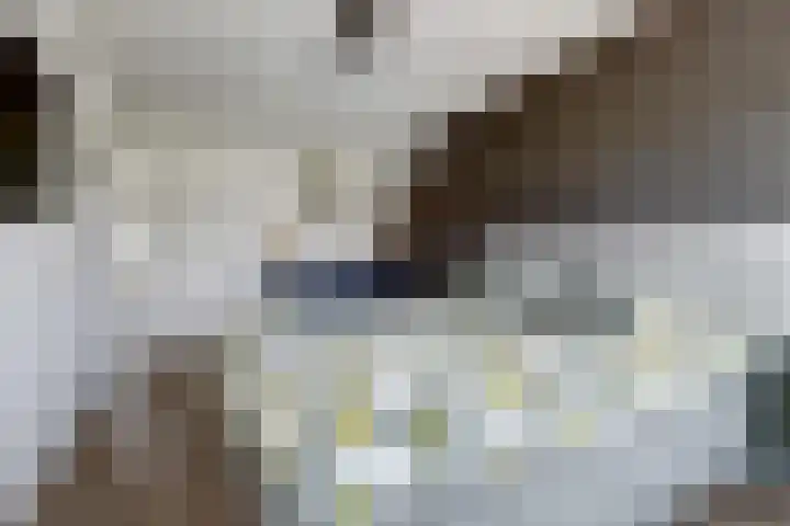 Pallieterplein 103 Oosterhout thumbnail 22