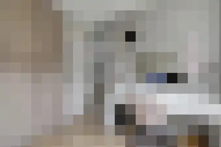 Pallieterplein 103 Oosterhout thumbnail 23