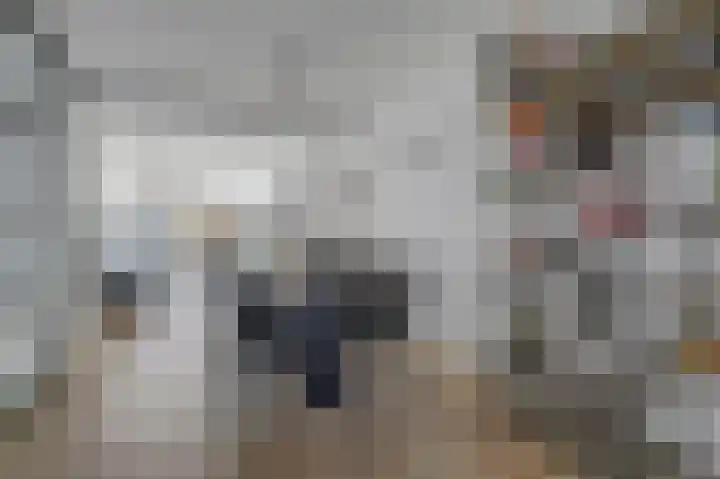 Pallieterplein 103 Oosterhout thumbnail 9